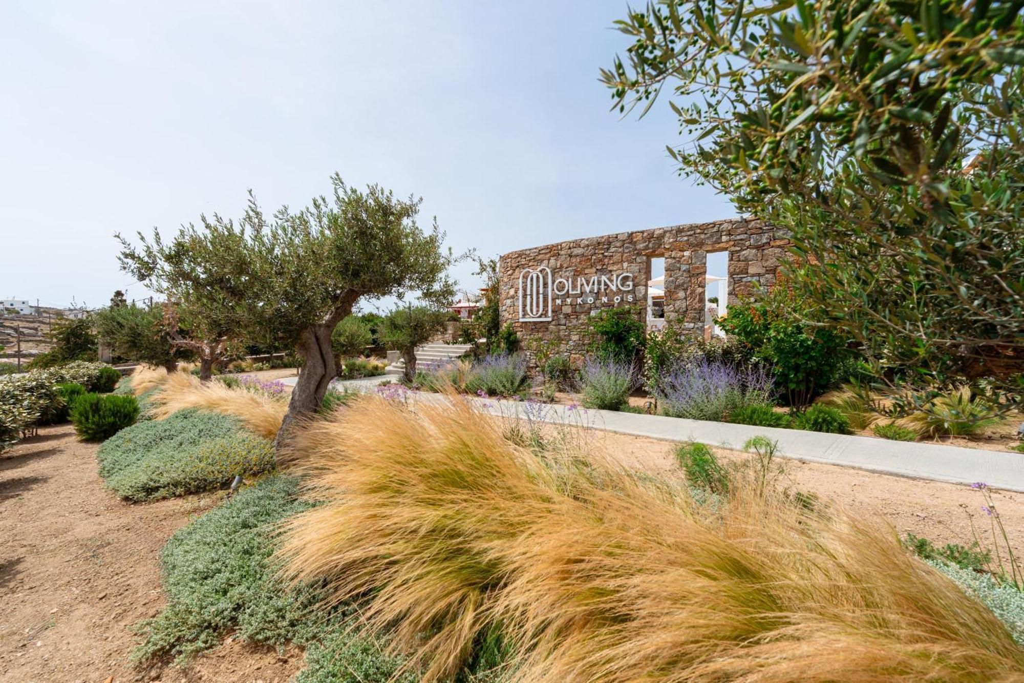 Oliving Mykonos Luxury Suites Klouvas Экстерьер фото